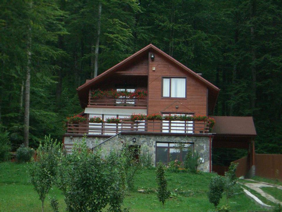 Villa Mara Σινάια Εξωτερικό φωτογραφία