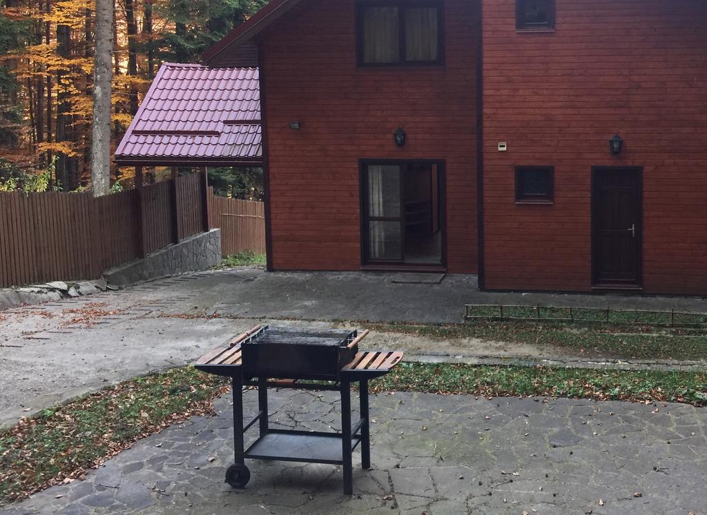 Villa Mara Σινάια Εξωτερικό φωτογραφία